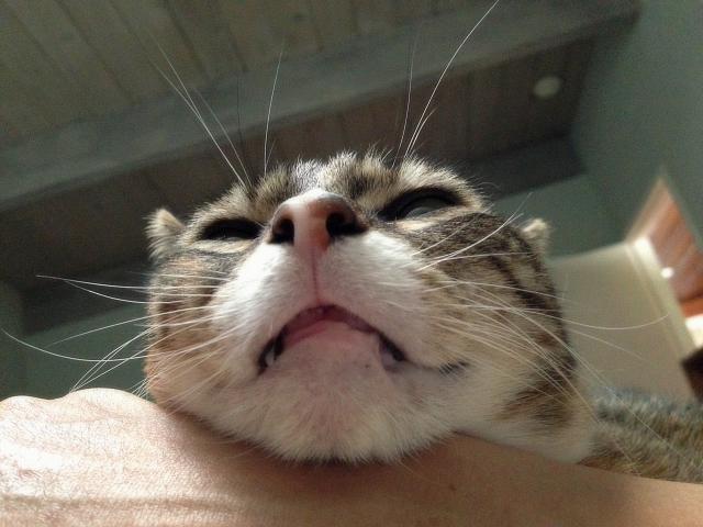 IMG 1375
