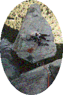 Salathe Wall on El Capitan in Yosemite
